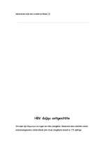 Referāts 'Hepatīts B', 6.