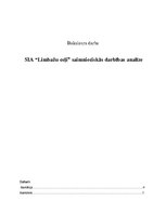 Diplomdarbs 'SIA "X" finanšu un risku analīze', 1.