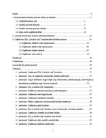 Diplomdarbs 'SIA "X" finanšu un risku analīze', 2.