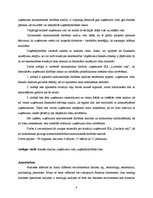 Diplomdarbs 'SIA "X" finanšu un risku analīze', 4.