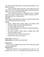 Diplomdarbs 'SIA "X" finanšu un risku analīze', 6.