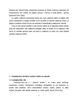 Diplomdarbs 'SIA "X" finanšu un risku analīze', 7.