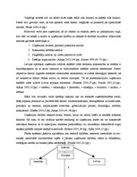 Diplomdarbs 'SIA "X" finanšu un risku analīze', 8.