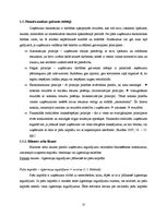 Diplomdarbs 'SIA "X" finanšu un risku analīze', 12.