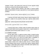 Diplomdarbs 'SIA "X" finanšu un risku analīze', 13.