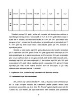 Diplomdarbs 'SIA "X" finanšu un risku analīze', 32.