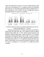 Diplomdarbs 'SIA "X" finanšu un risku analīze', 48.