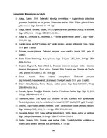 Diplomdarbs 'SIA "X" finanšu un risku analīze', 66.