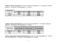 Diplomdarbs 'SIA "X" finanšu un risku analīze', 78.