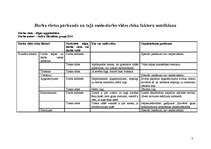 Konspekts 'Darba drošība un aizsardzība Rīgas apgabaltiesā', 3.