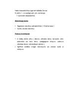 Prakses atskaite 'Prakse pirmsskolas izglītības iestādē', 3.