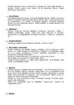 Prakses atskaite 'Prakse pirmsskolas izglītības iestādē', 9.