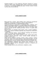 Prakses atskaite 'Prakse pirmsskolas izglītības iestādē', 10.