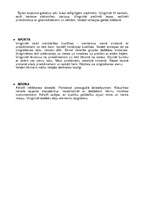 Prakses atskaite 'Prakse pirmsskolas izglītības iestādē', 13.