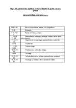 Prakses atskaite 'Prakse pirmsskolas izglītības iestādē', 16.