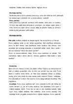 Prakses atskaite 'Prakse pirmsskolas izglītības iestādē', 18.