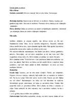 Prakses atskaite 'Prakse pirmsskolas izglītības iestādē', 22.