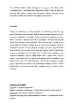 Prakses atskaite 'Prakse pirmsskolas izglītības iestādē', 24.