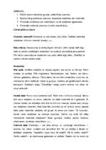 Prakses atskaite 'Prakse pirmsskolas izglītības iestādē', 25.