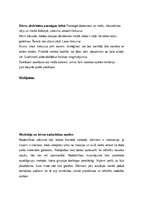 Prakses atskaite 'Prakse pirmsskolas izglītības iestādē', 27.