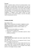 Prakses atskaite 'Prakse pirmsskolas izglītības iestādē', 28.