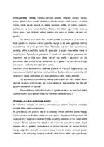 Prakses atskaite 'Prakse pirmsskolas izglītības iestādē', 30.