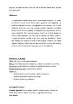 Prakses atskaite 'Prakse pirmsskolas izglītības iestādē', 31.