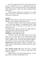 Prakses atskaite 'Prakse pirmsskolas izglītības iestādē', 32.