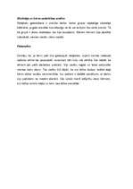 Prakses atskaite 'Prakse pirmsskolas izglītības iestādē', 33.