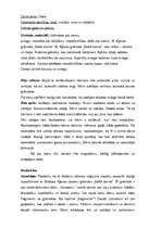 Prakses atskaite 'Prakse pirmsskolas izglītības iestādē', 35.