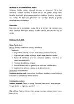 Prakses atskaite 'Prakse pirmsskolas izglītības iestādē', 38.