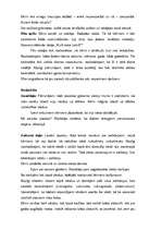 Prakses atskaite 'Prakse pirmsskolas izglītības iestādē', 39.