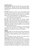 Prakses atskaite 'Prakse pirmsskolas izglītības iestādē', 42.