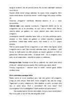 Prakses atskaite 'Prakse pirmsskolas izglītības iestādē', 46.