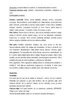 Prakses atskaite 'Prakse pirmsskolas izglītības iestādē', 48.