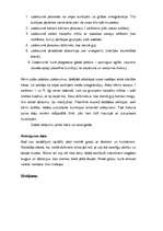 Prakses atskaite 'Prakse pirmsskolas izglītības iestādē', 49.