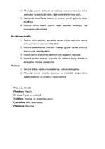 Prakses atskaite 'Prakse pirmsskolas izglītības iestādē', 52.