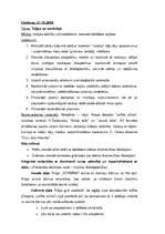 Prakses atskaite 'Prakse pirmsskolas izglītības iestādē', 57.