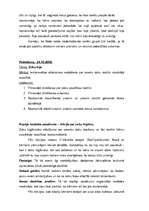 Prakses atskaite 'Prakse pirmsskolas izglītības iestādē', 67.