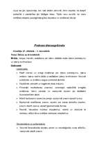 Prakses atskaite 'Prakse pirmsskolas izglītības iestādē', 68.