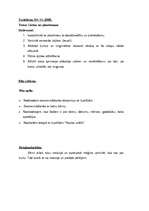 Prakses atskaite 'Prakse pirmsskolas izglītības iestādē', 78.