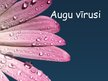 Prezentācija 'Augu vīrusi', 1.