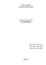 Referāts 'Cilvēktiesības', 1.