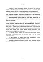 Referāts 'Cilvēktiesības', 3.