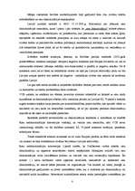 Referāts 'Cilvēktiesības', 8.