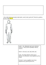 Paraugs 'Psihes bioloģiskie pamati - kontroldarbs (1)', 5.