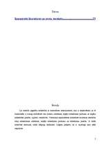 Referāts 'Iekšējā un ārējā parāda pozitīvās un negatīvās sekas', 2.