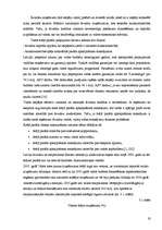 Referāts 'Iekšējā un ārējā parāda pozitīvās un negatīvās sekas', 19.