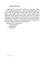 Referāts 'Uzņēmējdarbības veidi', 2.