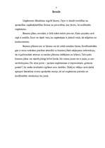 Referāts 'Biznesa plāns, tā būtība un saturs', 2.